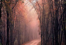 开云官网-意大利网球战火再燃！阿尔卡拉斯助攻助阵，力挫澳大利亚豪门