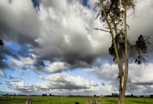 开云体育app-法国羽毛球队大胜英格兰，陶菲克横扫全场成传奇